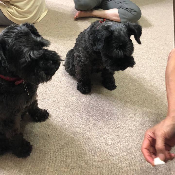 Fba9280c 86bd 404f a2d2 fb7a502885e5 1533986226198