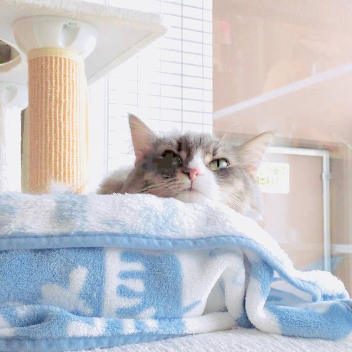 Fba94ba6 ed20 4a0a bc30 5cb0cdd83099 1644368862709