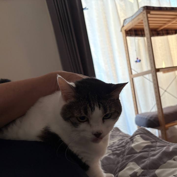 Fba98524 9687 4cce a81f 8e725348716e 1753953133202