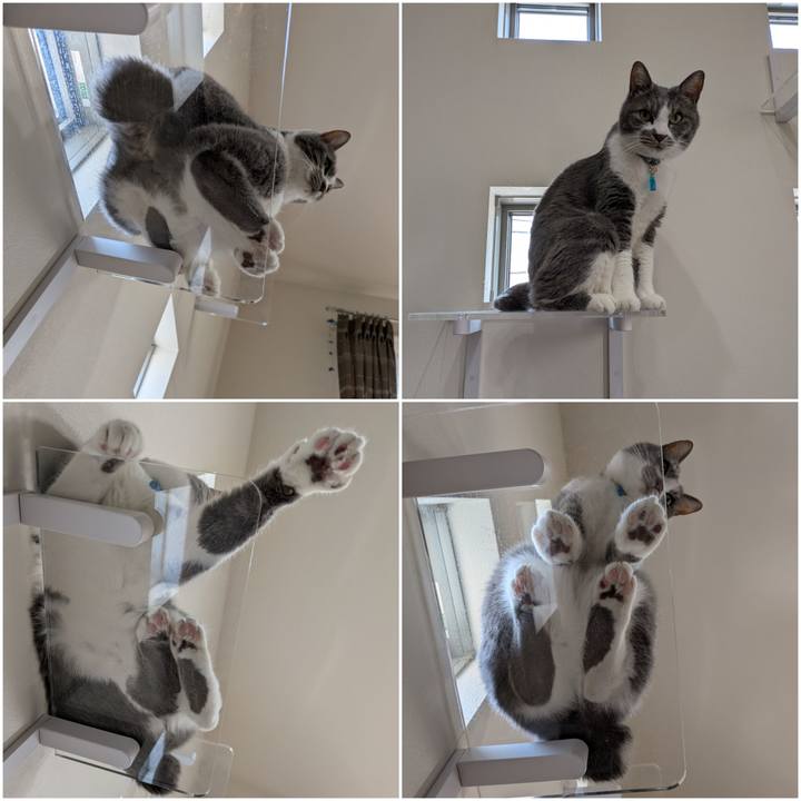 Fba996d0 f4e3 4739 b50b 96b1e36d7af6 1742965738829