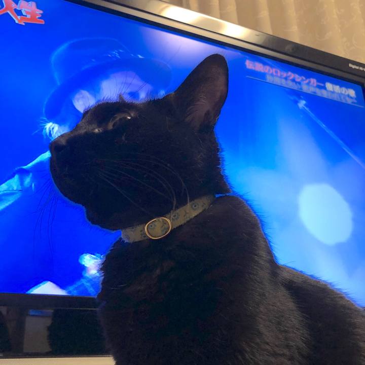 Fba9988f be88 4b2e 94b2 ad9728590bd4 1557150409105