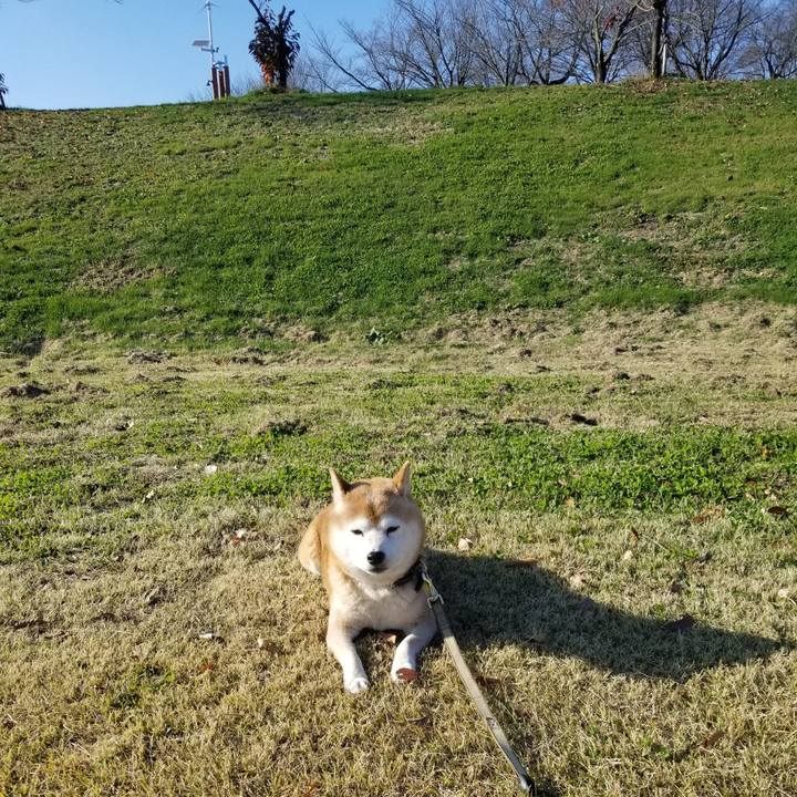 Fba9a260 db68 4bd0 8927 ed8db7ebef22 1668747604531