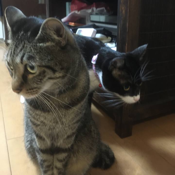 Fba9a2fe f336 43a0 82d3 812e4ec8e68f 1584503309216