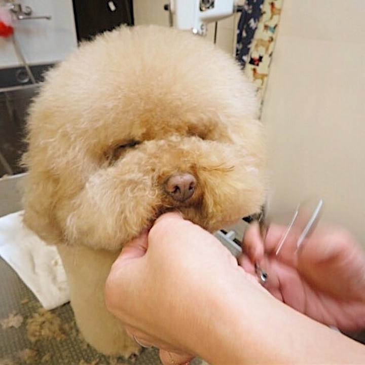 Fba9ac71 1a6a 42d3 8aaf bc6a8c5ac91c 1515926002541