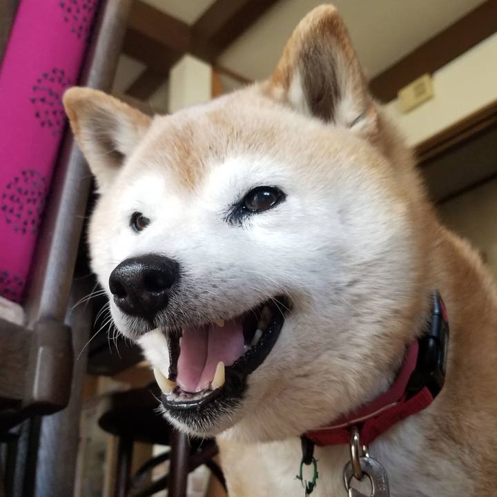 Fba9d079 bd49 4839 b19b e1da45c25fce 1714283550336