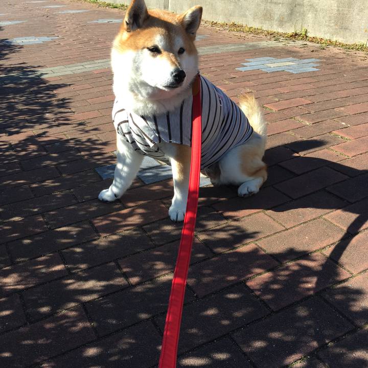 Fbaa2ff0 cd05 4371 8769 d85edbf1651a 1577504838185