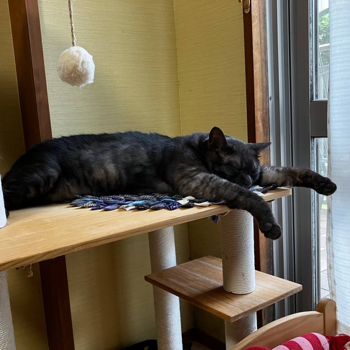 Fbaa43c1 f3ec 48ef b413 891620969153 1720566676418