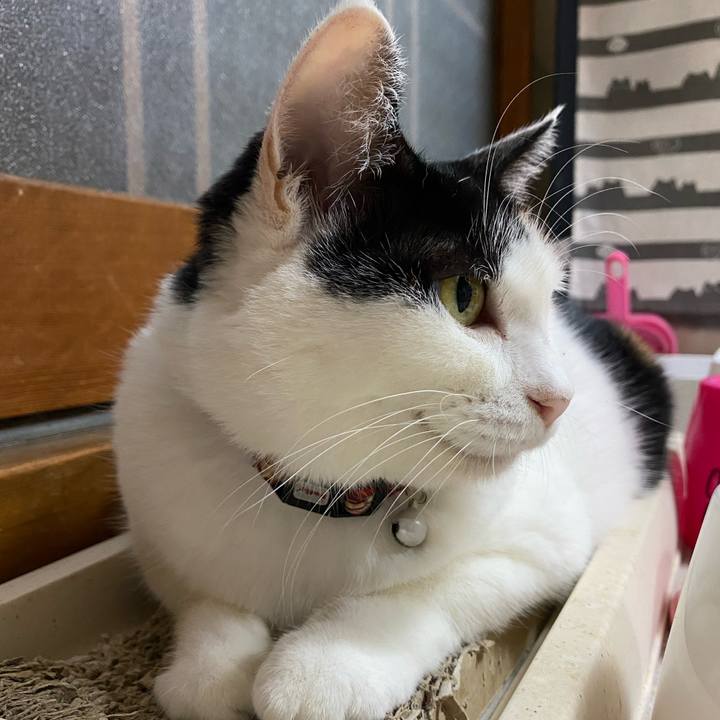 Fbaa48db 94c6 4464 afb9 8f2b5e370b60 1664810367219