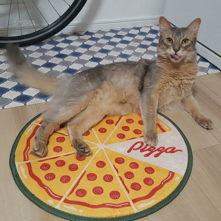 Fbaa553e 5d4b 46a5 bf16 7e68702864af 1537521675882