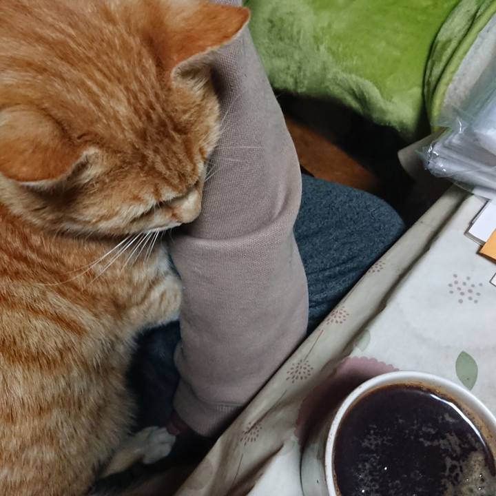 Fbaa9759 a43b 4ccd 957e 57028bebdf78 1587067157704