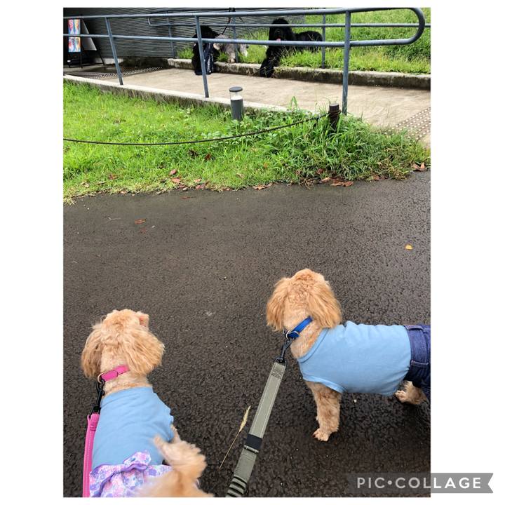 Fbaabaf7 54e0 49d3 a52c d673bff4cb6b 1631175336001