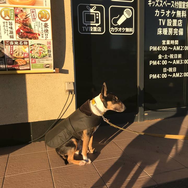 Fbaac167 9e2c 4cbc 8b69 d88284d50bdc 1514453082098