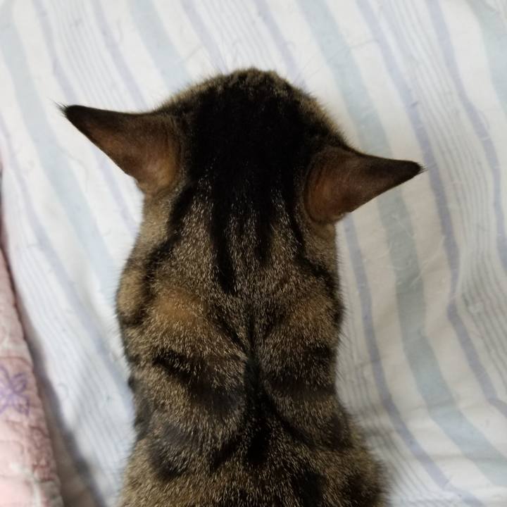 Fbaac84b 84d6 423d aa27 f24dae03e85a 1620768343093