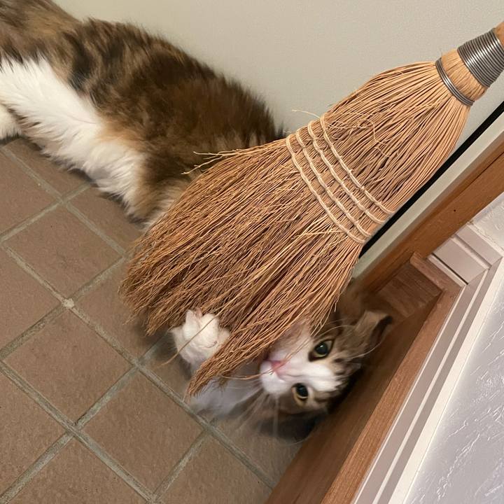 Fbaae13e 28fe 4379 992e d44953fb3ff1 1668801378967