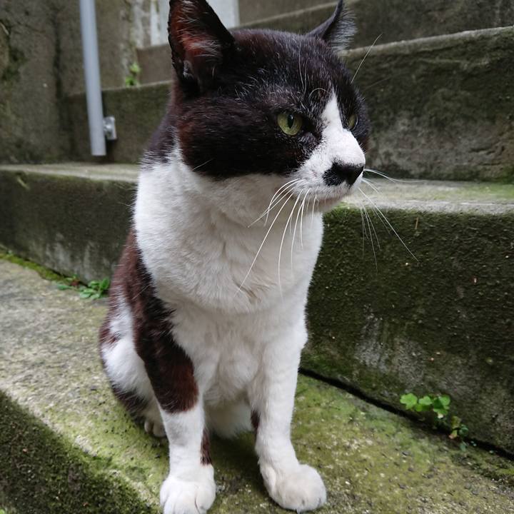 Fbaae156 49b5 4628 a66d 1645b4bca6b2 1687390370638