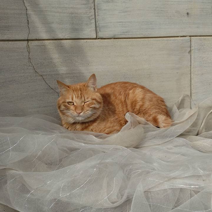 Fbaafa6e 799a 4f13 adc7 c80b7c7a2ddf 1666681801126