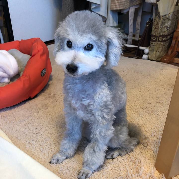 Fbab0c50 a2e2 447c 882d 52bdf09cfea1 1547767485598