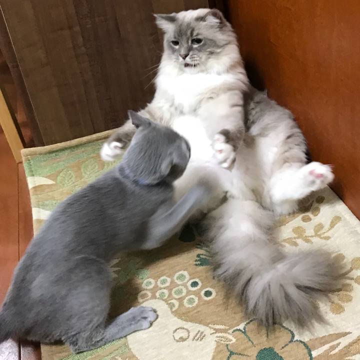 Fbab27e2 51c6 408e 9a19 5a16d6bbd7f1 1508992326651