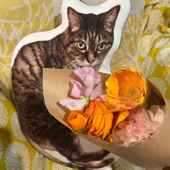 Fbab32d4 8927 4e94 8460 0316ef6ee235 1772361697513