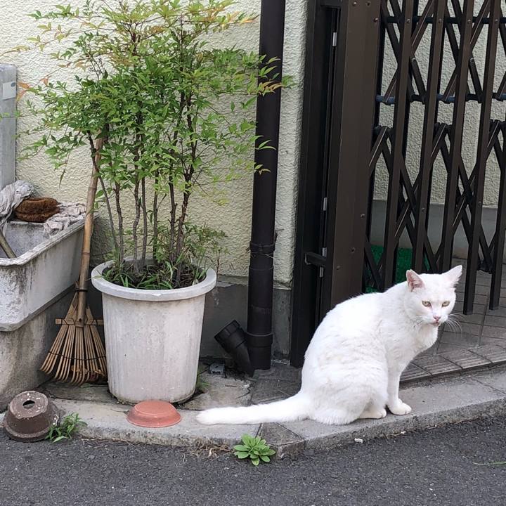 Fbab3800 e0be 4823 b62a 53a34936b227 1533928230994