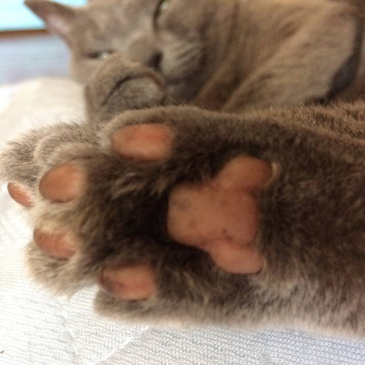 Fbab4e0d d88e 4fbc 957e fd5856579b21 1530225591818