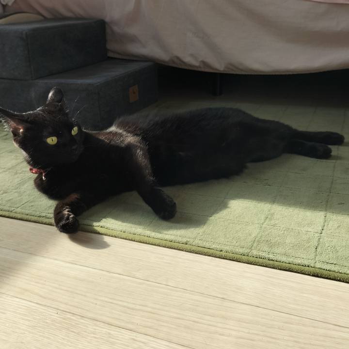 Fbab7627 7e8f 42bd a247 bbef13c7fbd8 1661467851234