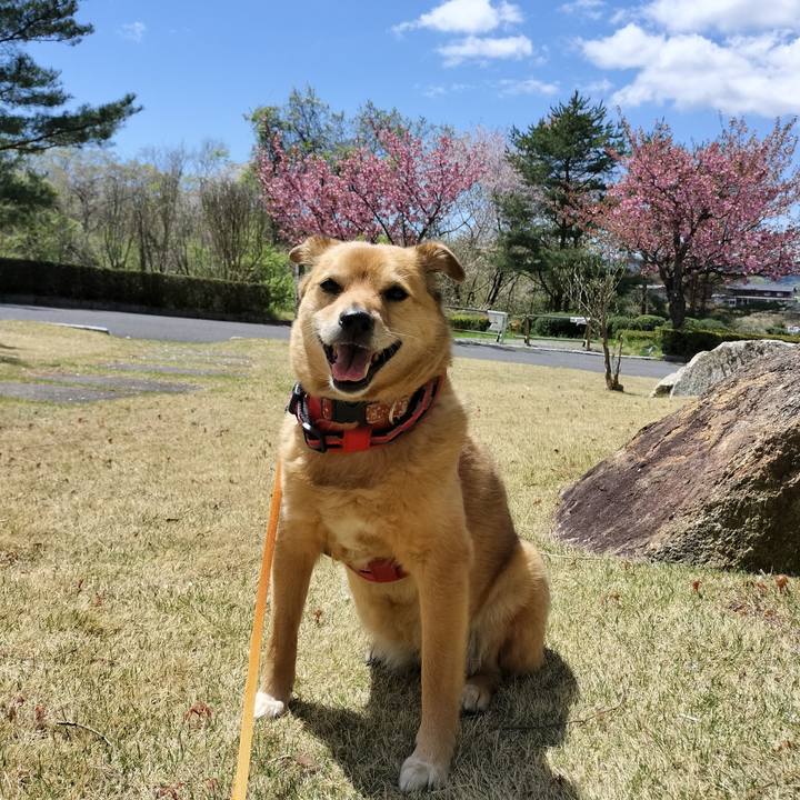 Fbab7649 693a 4e98 9a3c be455f7f5b42 1745575519300