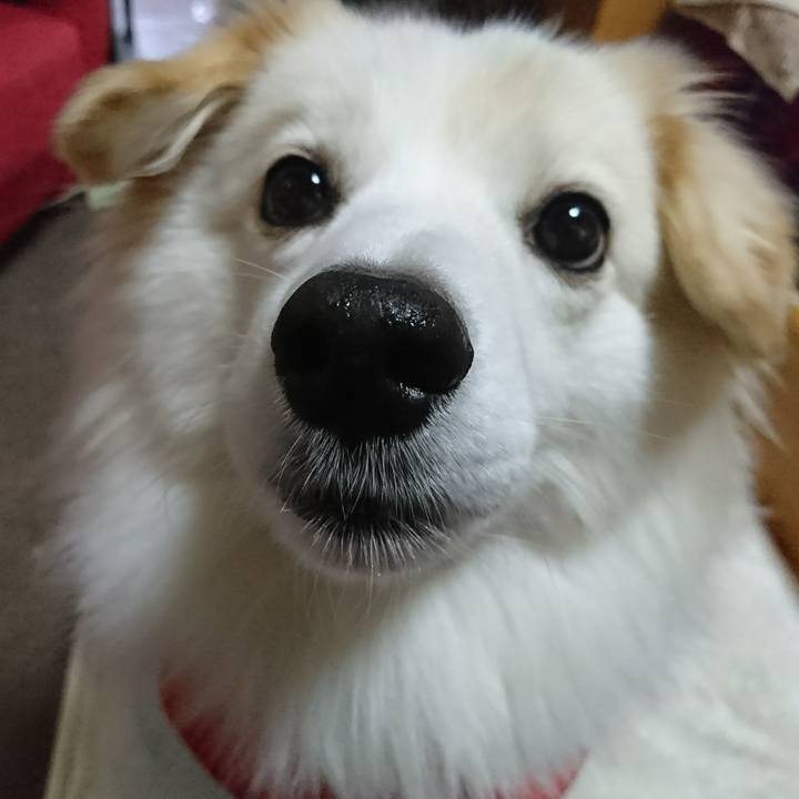 Fbab9135 3e65 44e3 a0d6 17482d3edc4a 1510400772036