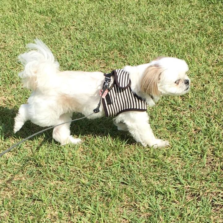 Fbabb69a 0a75 4513 ae21 d6c5920ee0fc 1534580882064