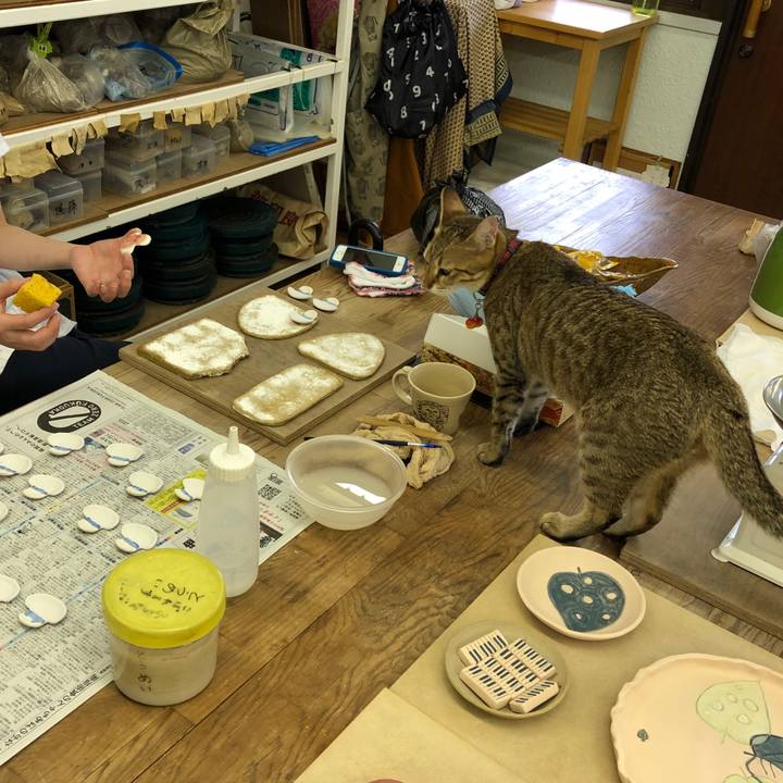 Fbabbd79 342c 4b26 818e 0cf89b5bcd8d 1594974693235