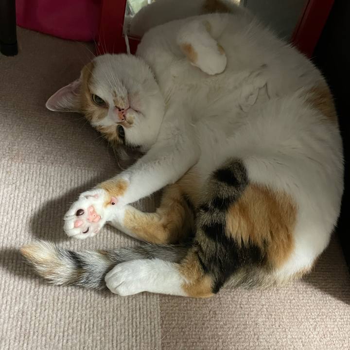 Fbabd128 03c2 4910 9a7a 325692e2c342 1629721419528