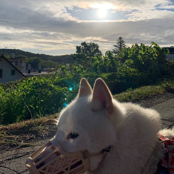 Fbabd245 abd9 4a21 9bb1 39408df4bb2b 1559163161695