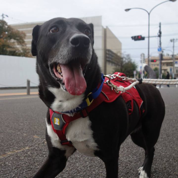 Fbabd9d3 e51d 4fa8 833c 747ee6986c81 1667263104330