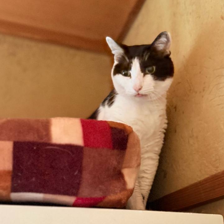 Fbac0dcd 9f35 492e 9351 4cef08371fa3 1749698510756