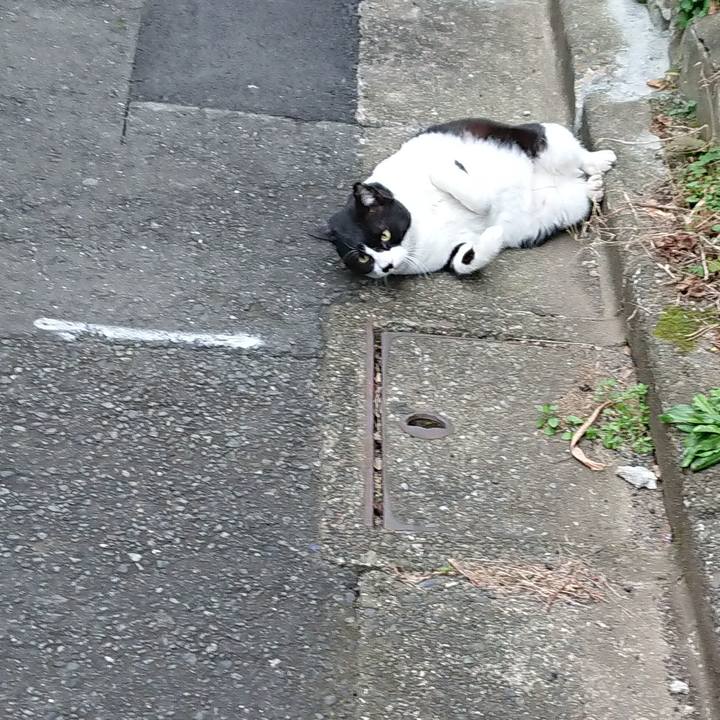 Fbac30b4 606c 4410 a7cd a202d8138133 1550028914439