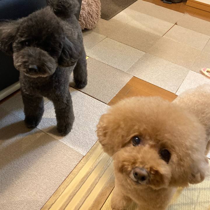 Fbac3af1 15eb 4655 ae8b 5e1ada10fab4 1669697274520