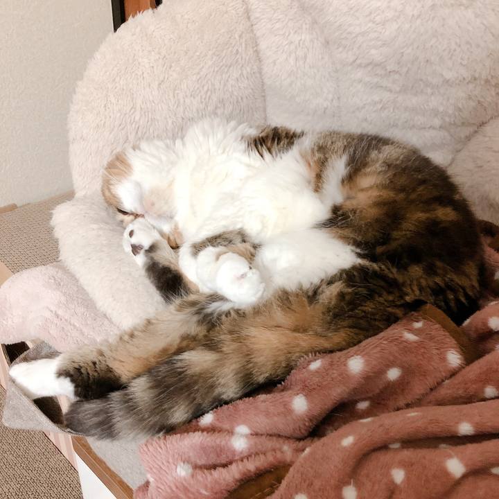 Fbac4bcb 7786 45e8 a7e4 90dce135dce6 1578919793762