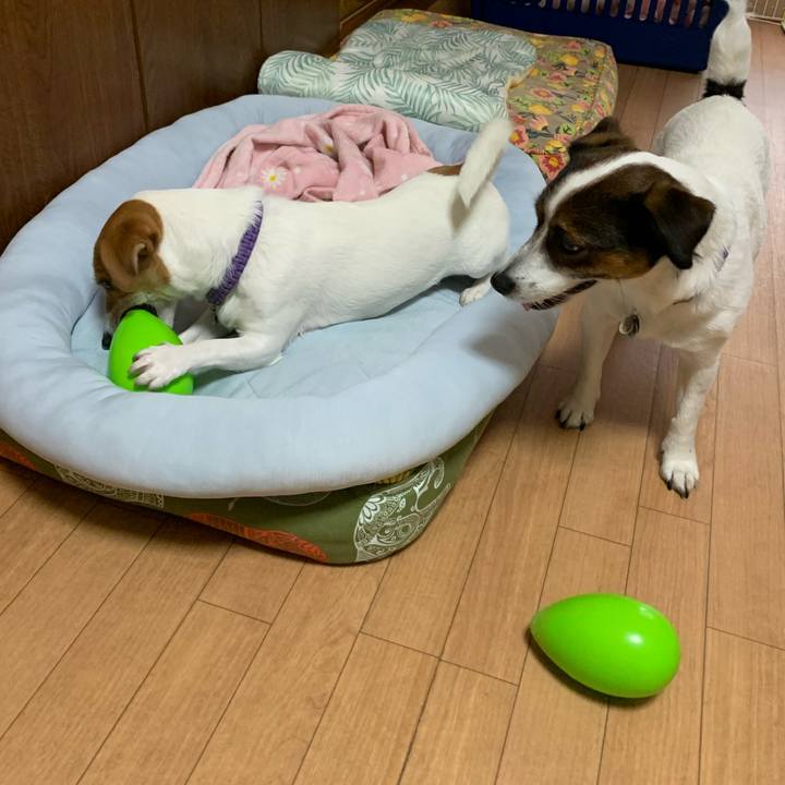 Fbac6cc4 be49 437d 9c44 b2c65cc6d0ee 1592206026288