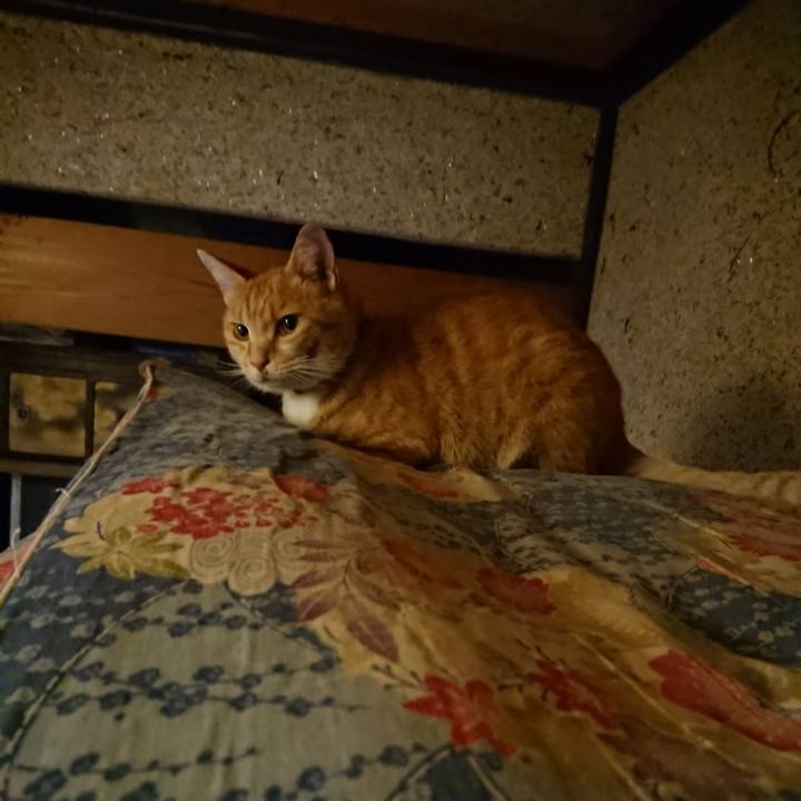 Fbac8c07 0ddb 45b9 aae3 05c177cd054b 1596284698504