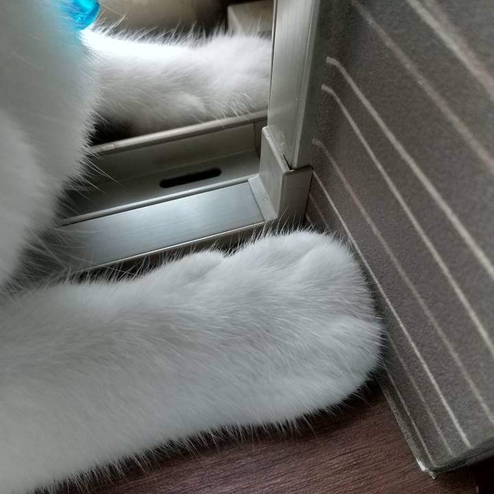 Fbac9d7c 68d4 4fef baa6 3954bab92135 1600385487795