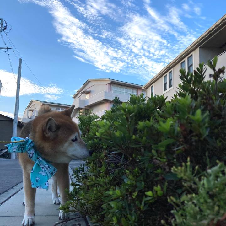 Fbace0bc 956b 4edc 9137 f03add5a7422 1661296810216