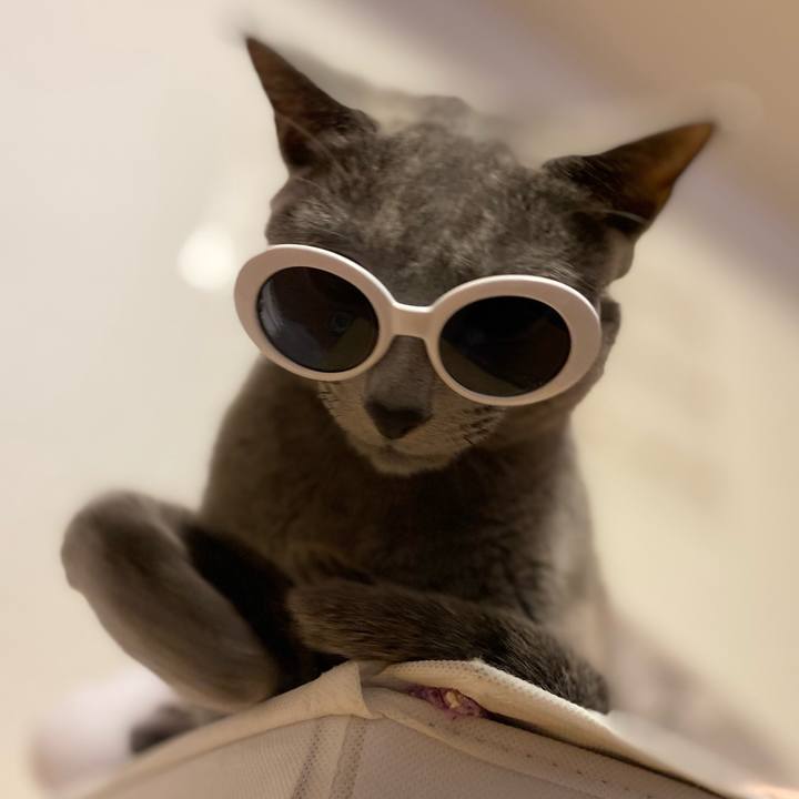 Fbacee08 e540 4e6c a0d0 558521773fab 1674789463425