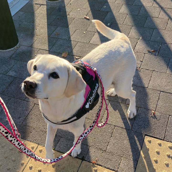 Fbacfeca 93e4 4a47 9ed0 b068af874d3f 1699969828181