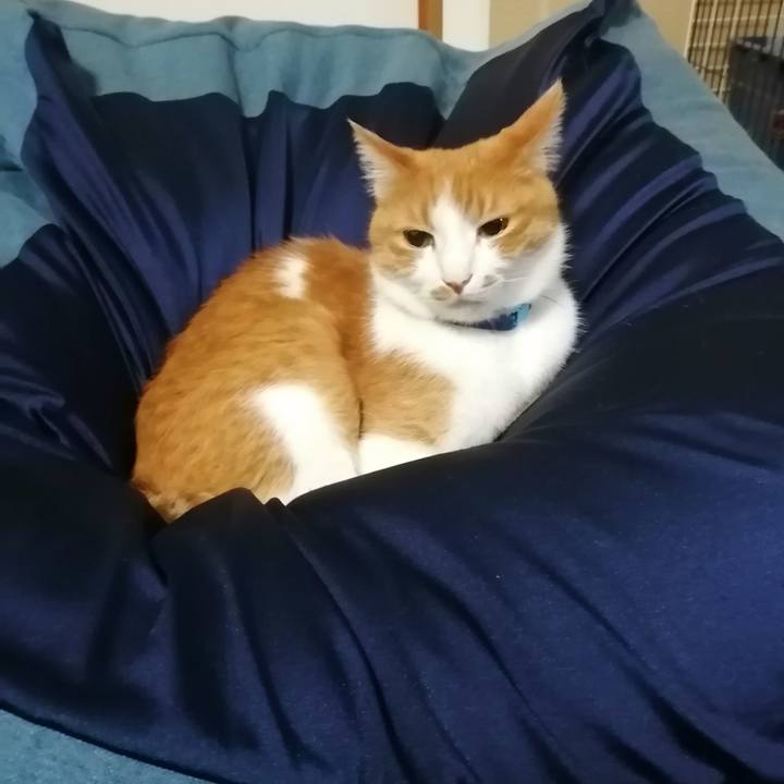 Fbad441f 17e2 453f 8724 6d5e3edd0504 1613805558950