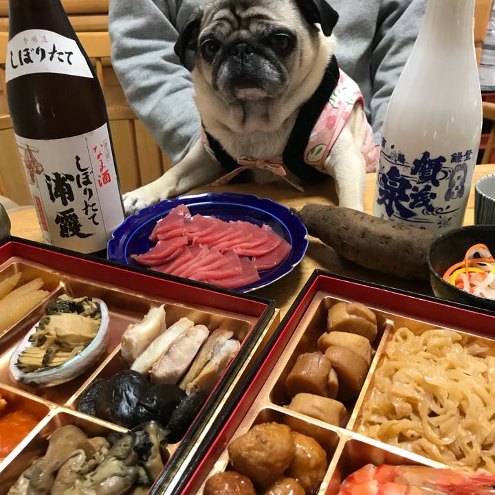 Fbad65d7 dbce 42aa 8546 23c7f9ee7217 1514778298431