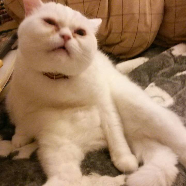 Fbad994d e7ba 4d8b b0bf 52981f72e848 1514078160892