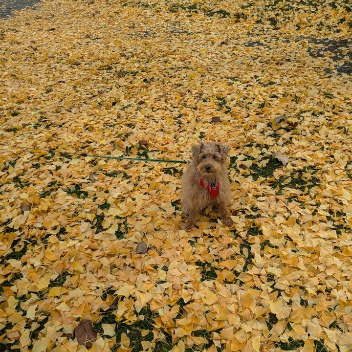 Fbada0a3 aa5f 48b9 ac1c feda4b03cda9 1730001012864