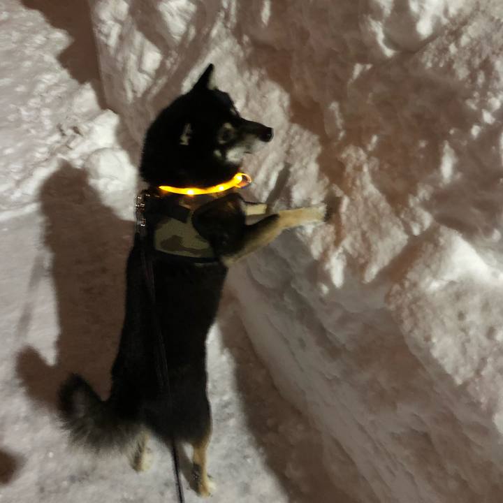 Fbada42c 2e4a 4f53 81d3 9d3ca0fe859c 1546557795156