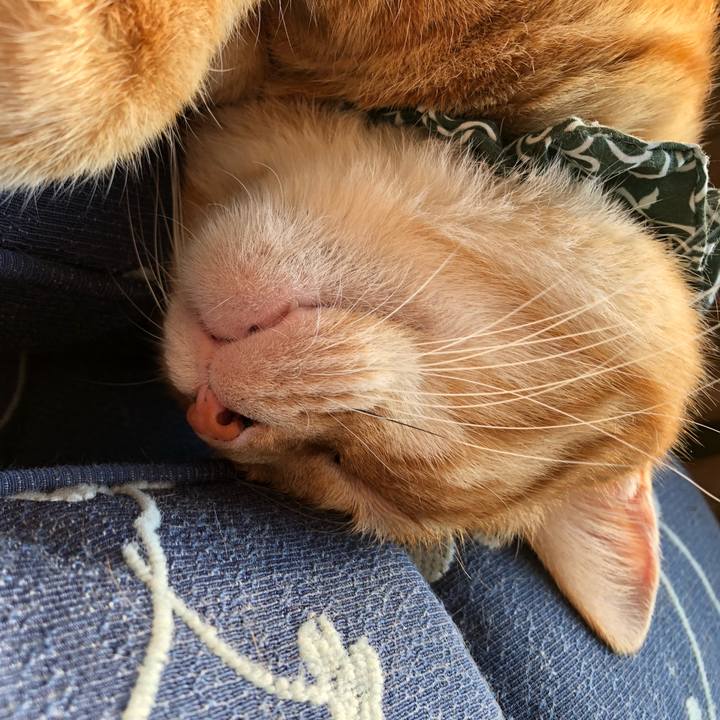 Fbadad98 2b6d 40f8 8d1e e2b0284c8627 1556955793403