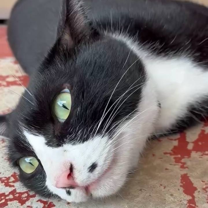 Fbadafb5 216b 4f55 9b37 efcb1ada0de2 1753152635709